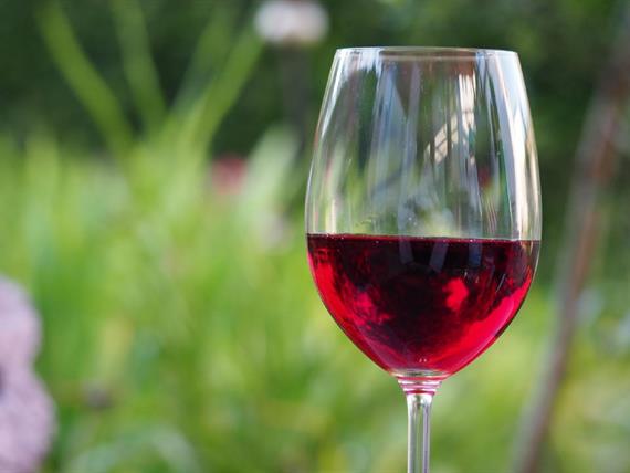 Antiossidanti del vino rosso: la nuova cura per infarto e ictus